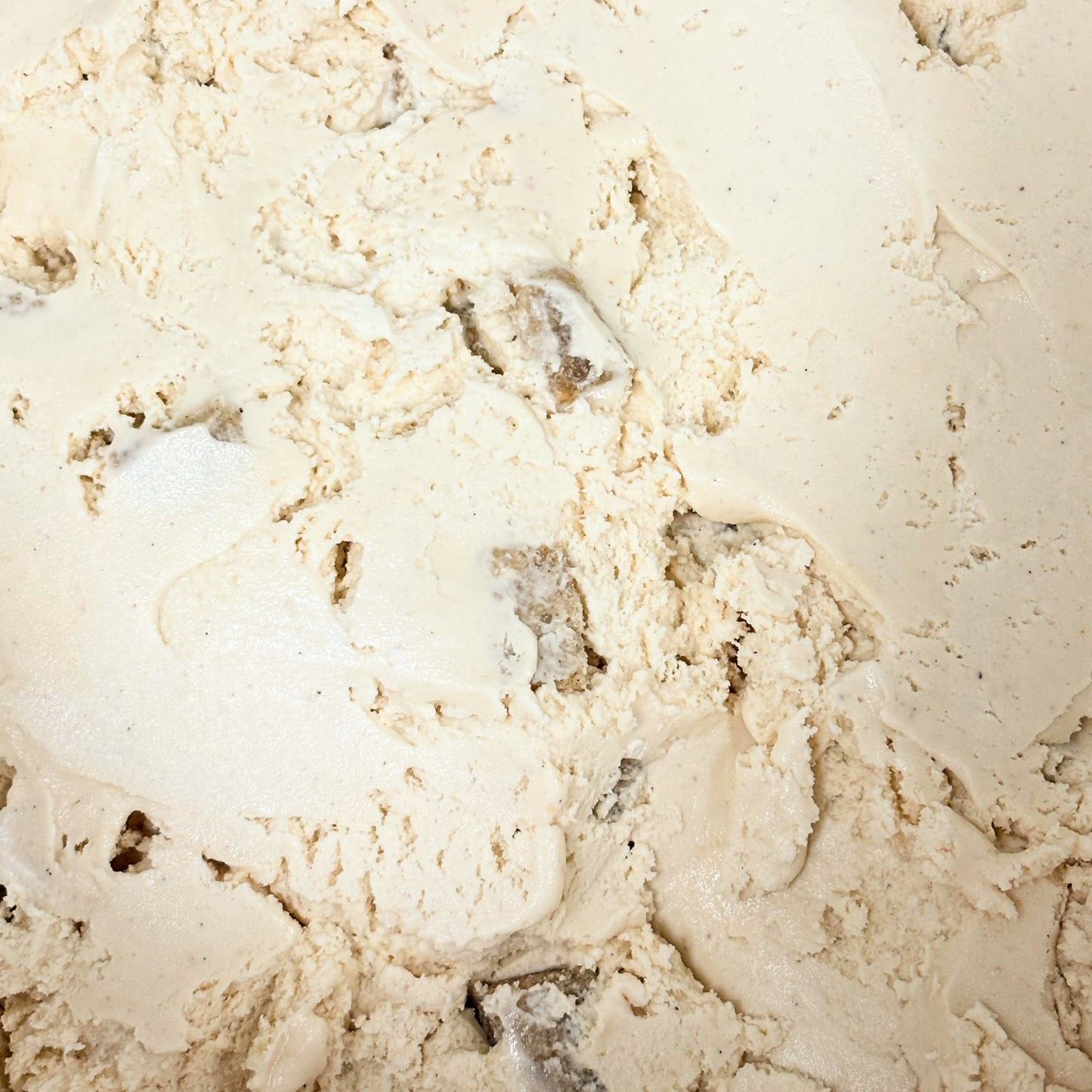 NORTH Cardamom Cookie