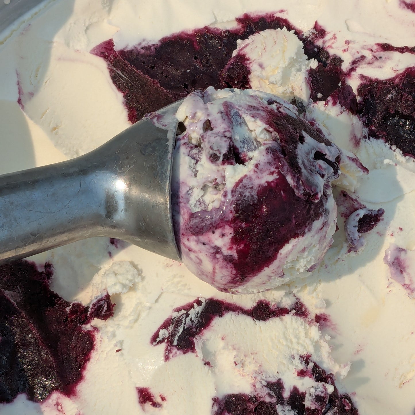 Wild Blueberry Goat Cheese