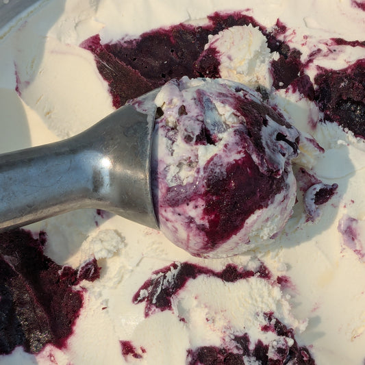 Wild Blueberry Goat Cheese