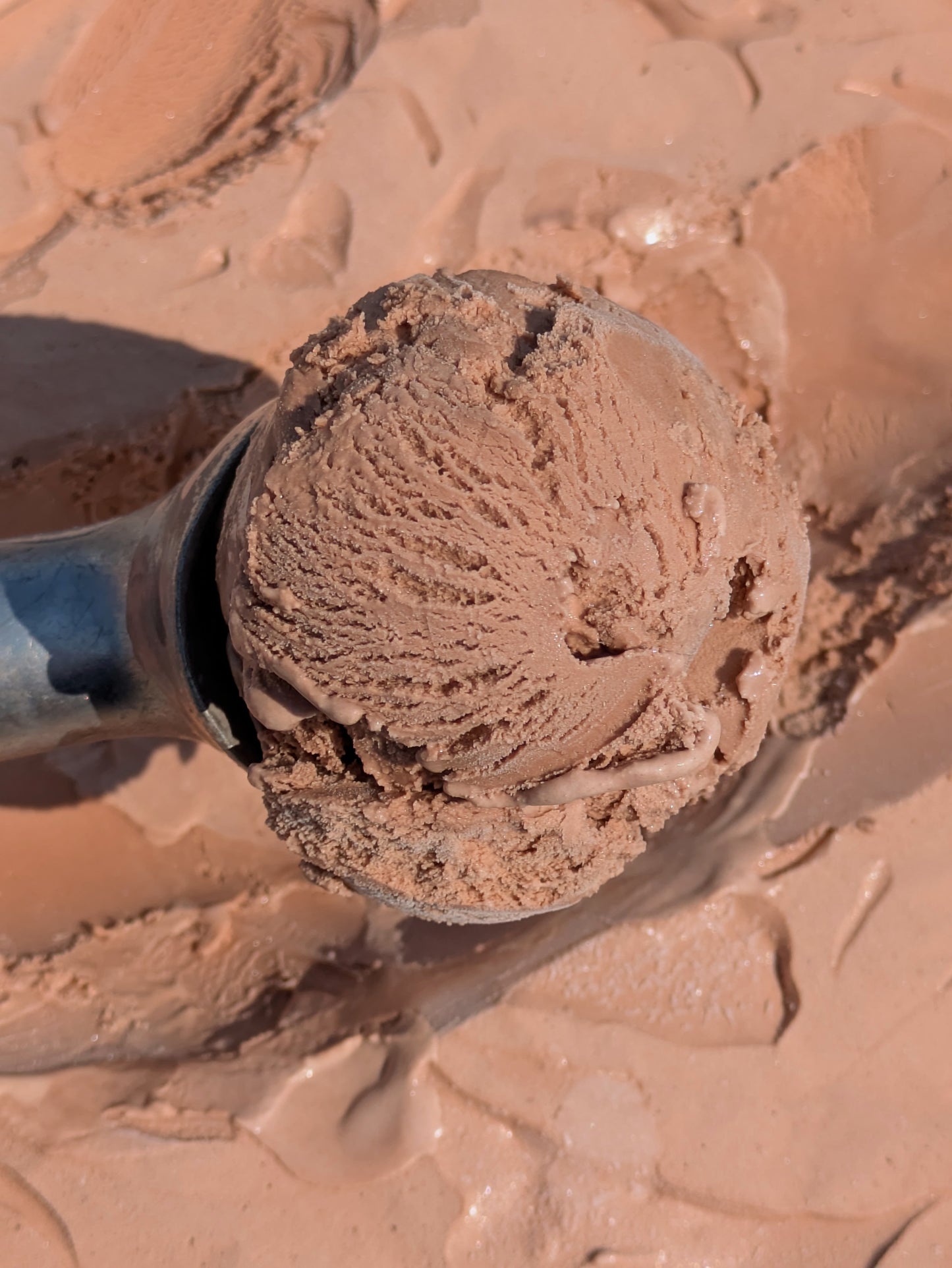 Malted Chocolate