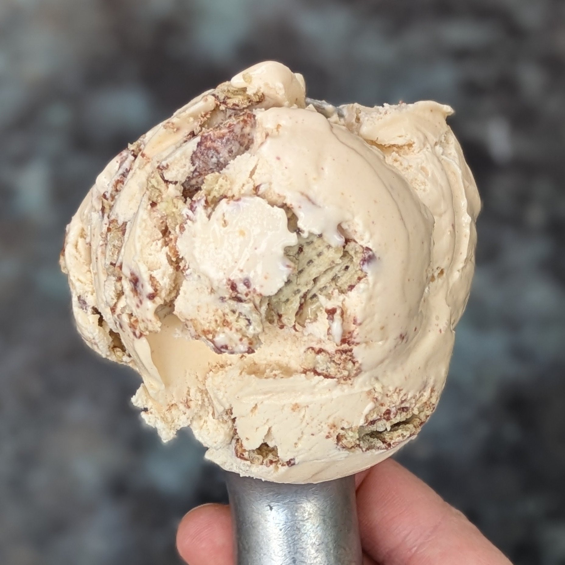 One scoop of puppy chow ice cream